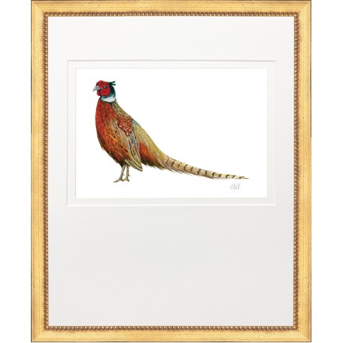 KS- PHEASANT 2